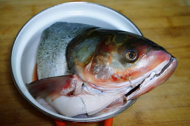 炖胖头鱼的家常做法（炖胖头鱼怎么炖好吃下饭）(2)