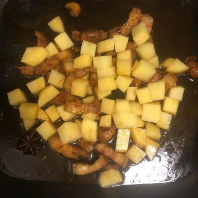 土豆红烧肉怎么做好吃又简单（土豆红烧肉的家常做法大全）(7)