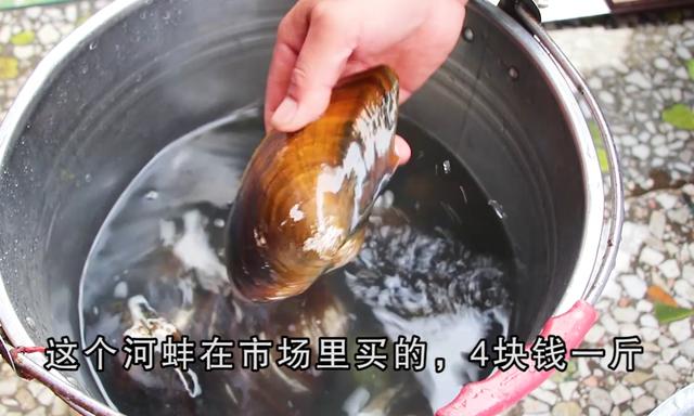 河蚌的做法大全家常（河蚌怎么做好吃不腥）(2)