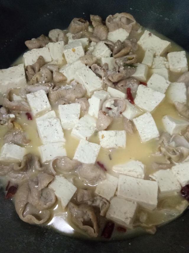 肥肠炖豆腐的家常做法（肥肠炖豆腐怎样做好吃）(5)