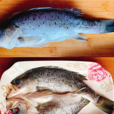 清蒸鲈鱼怎么蒸最好吃（清蒸鲈鱼最好吃的做法）(2)