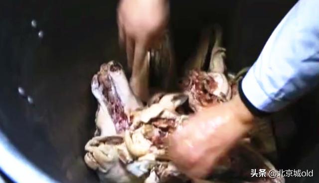 白水羊头肉的正宗做法（正宗老北京白水羊头的制作方法）(7)