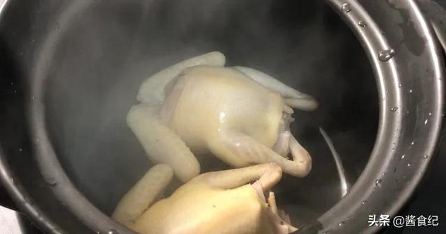 家常炖鸽子汤的做法（鸽子汤怎么煲好喝又营养）(5)