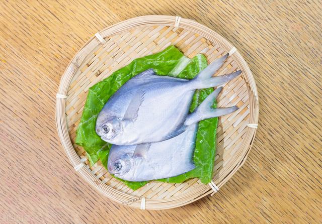 白鲳鱼的做法大全（潮汕黄豆酱鲳鱼的正宗做法）(2)