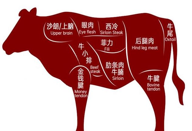 牛肉饺子用牛哪个部位的肉好吃（记住只买这5个部位）(2)
