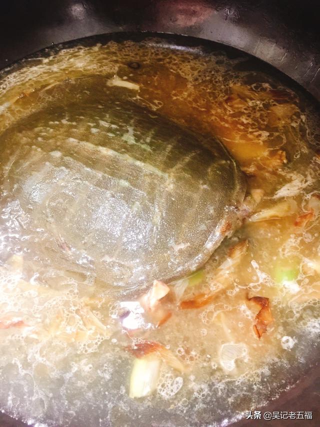 红烧甲鱼怎样做法最好吃（红烧甲鱼最正宗的做法图片大全）(15)
