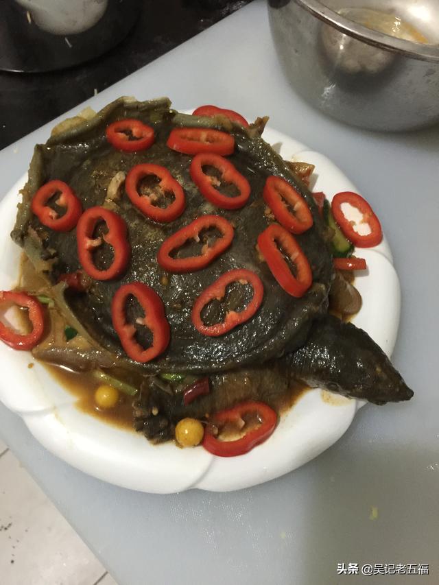 红烧甲鱼怎样做法最好吃（红烧甲鱼最正宗的做法图片大全）(19)