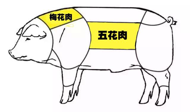 猪哪个部位的肉叫梅花肉（猪的梅花肉好还是五花肉好吃）(4)