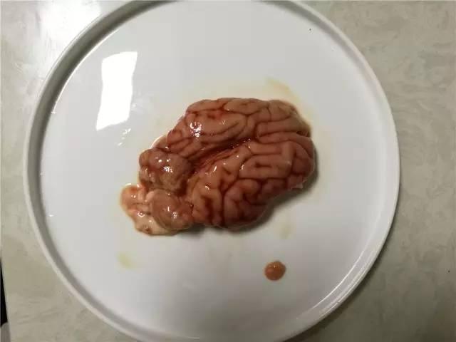 猪脑怎么处理吃火锅（猪脑火锅的正确吃法）(8)