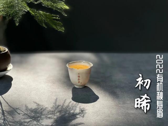 秋冬季适合饮用什么茶（适合秋冬季节喝的茶有哪些）(2)