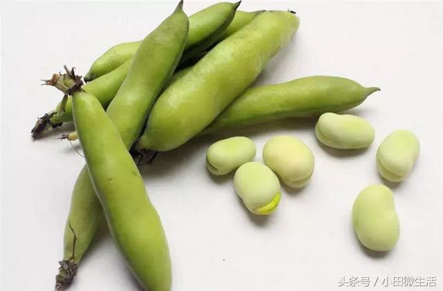 蚕豆炒菜怎么做好吃（怎样炒蚕豆保持原来的翠绿）(3)