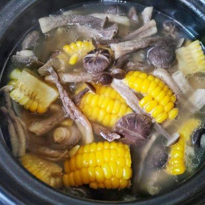 排骨玉米菌菇汤的做法（菌菇排骨汤都放什么菜好吃）(9)