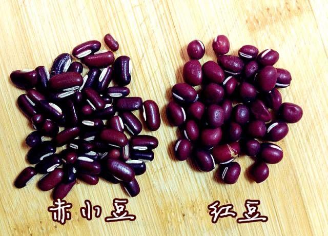 怎样区别赤小豆和红豆（红小豆和赤小豆的区别图片）(1)