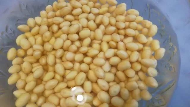 自制生豆芽简易新方法（家庭用盆子发豆芽简易方法）(2)