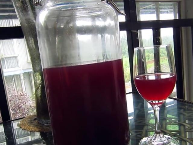 葡萄酒的制作方法和配方（制作葡萄酒最正宗的方法和步骤）(1)