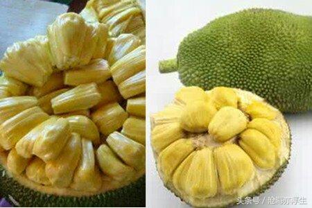 菠萝蜜吃法大全和做法（菠萝蜜的十种做法）(1)