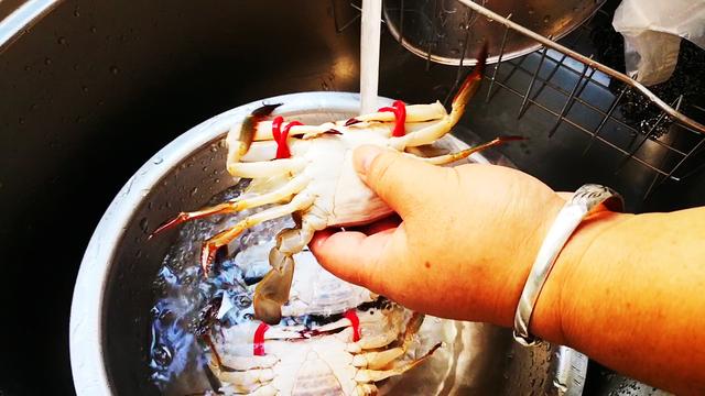 蒸螃蟹是冷水还是热水蒸好（蒸螃蟹的正确方法冷水还是热水）(4)