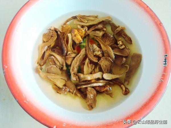 牛肝菌鸡汤的做法大全（牛肝菌鸡汤怎么炖最好吃）(1)