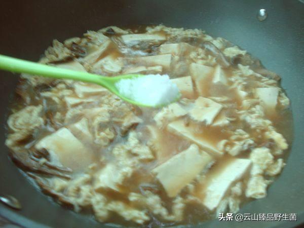 牛肝菌鸡汤的做法大全（牛肝菌鸡汤怎么炖最好吃）(11)