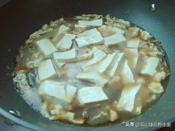 牛肝菌鸡汤的做法大全（牛肝菌鸡汤怎么炖最好吃）(10)