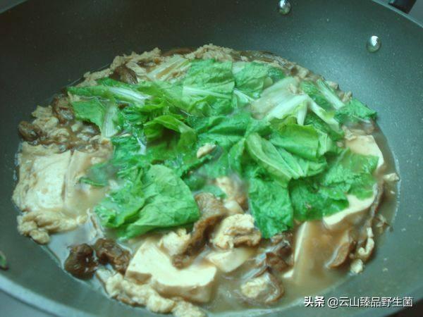 牛肝菌鸡汤的做法大全（牛肝菌鸡汤怎么炖最好吃）(12)