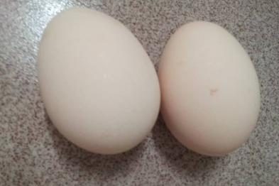 菠菜鸡蛋花生米的做法窍门（菠菜花生米鸡蛋丝凉拌做法）(3)