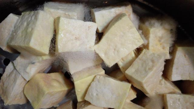 豆腐腐乳的家常做法（北方老豆腐怎么做腐乳）(5)