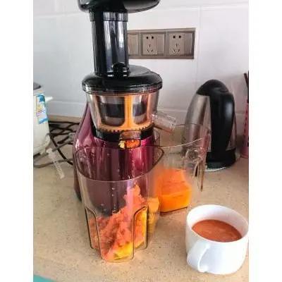 手摇榨汁机榨果汁的过程（小型榨汁机榨果汁正确方法）(5)