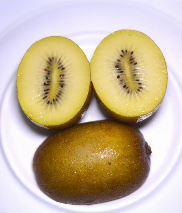 奇异果和猕猴桃是一种水果吗（中国才是猕猴桃不折不扣的故乡）(4)