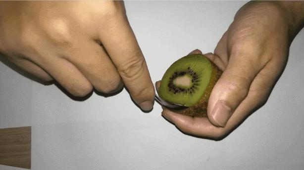 奇异果和猕猴桃是一种水果吗（中国才是猕猴桃不折不扣的故乡）(8)