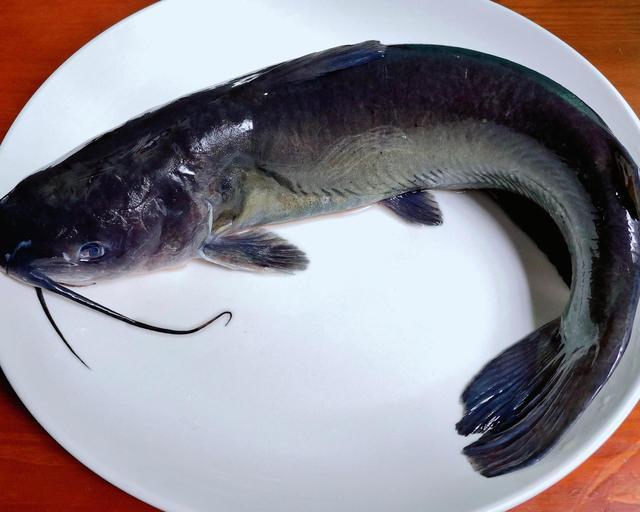 怎样制作鱼火锅好吃窍门（这才是鱼火锅最正宗的制作方法）(6)