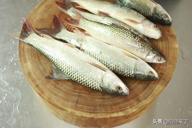 豆豉鲮鱼罐头做法大全窍门（鲮鱼做罐头鱼的方法）(2)