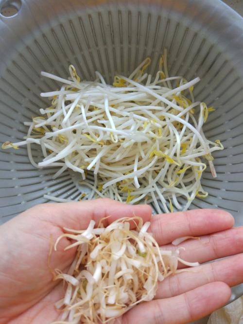 黄豆芽和绿豆芽的制作方法（黄豆芽和绿豆芽哪个营养更高）(2)