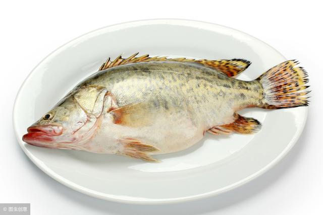 松鼠鳜鱼是哪里的名菜（江苏名菜松鼠鳜鱼）(2)