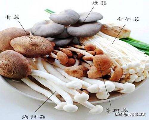 牛尾菌菇汤的功效（牛尾骨炖菌菇汤）(3)