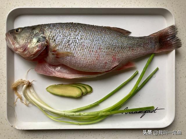 蒸鱼吃什么鱼好吃刺少（儿童必吃十种鱼做法清蒸）(3)