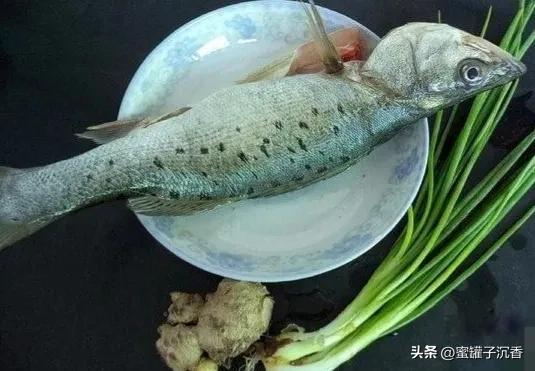 清蒸鲈鱼的正确做法配料（清蒸鲈鱼的做法和营养价值图片）(2)